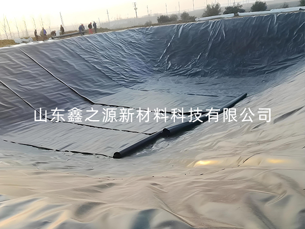選擇防滲土工膜進(jìn)行小龍蝦養(yǎng)殖有哪些要點(diǎn)技巧？